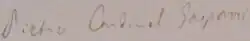 Pietro Gasparri's signature