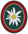 West/German military 23rd mountain rifles troops emblem.