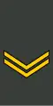 სერჟანტი Serzhant’i (Georgian Land Forces)[59]