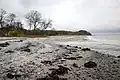 At Moesgård Beach