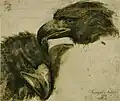 Eagle Heads[2]