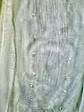Precloacal papillae