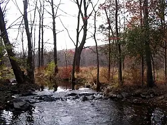 Seely Brook
