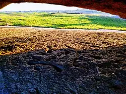 Rock art carvings
