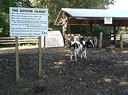 Barnyard
