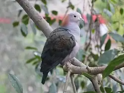 At San Diego Zoo
