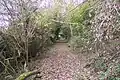 Hubbard's Hill