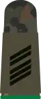 Aufschiebeschlaufe Feldanzug Heeresuniformträger Jägertruppe