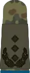 Oberst (Logistics troops)
