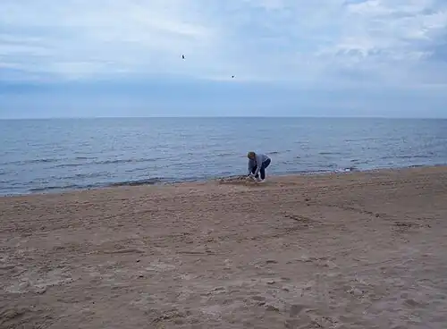 Beach