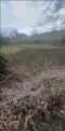 12th century ditch, on the eastern side in 2023