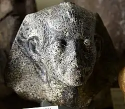 Half-lifesized head in mottled diorite from the Petrie Museum of Egyptian Archaeology, London