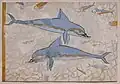 Dolphin fresco