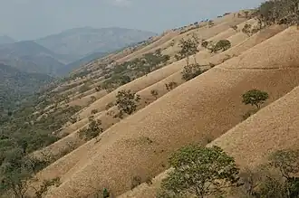 Fizi Territory