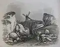 Windmill, Mont Mado, Saint John, published 1840