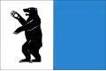 Flag of Hodkovice nad Mohelkou