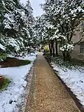 The Arboretum in winter