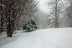 Snowfall during the blizzard in Clifton, Virginia, U.S.A., completely covers a road and reduces visibility on 19 December 2009.