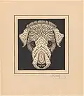 Dog's head[17]