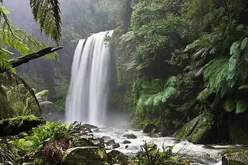 Image 11Efforts are made to preserve the natural characteristics of Hopetoun Falls, Australia, without affecting visitors' access. (from Conservation biology)