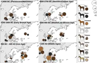 Image 10The early stages of domestication were marked by a rapid increase in coat colour variation. (from Domestication of the horse)