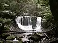 Horseshoe Falls