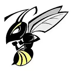 Team logo