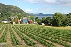 Cultivated fields in Hyggen