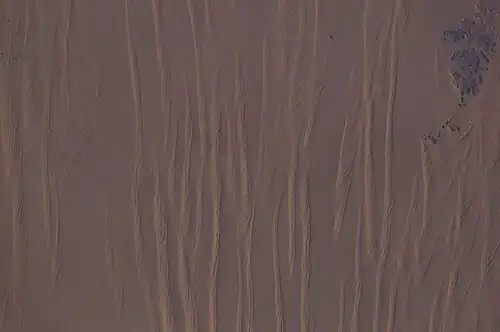 Large linear seif dunes in the Great Sand Sea in southwest Egypt, seen from the International Space Station. The distance between each dune is 1.5–2.5&nbsp;km.