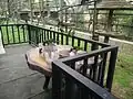 Lorikeets feeding