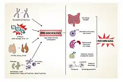 Immunosenescence