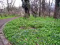 Arboretum