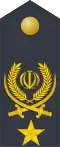 Brigadier General