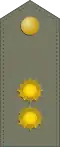Lieutenant Colonel