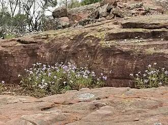 habitat