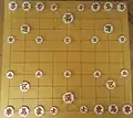Janggi uses octagonal pieces.