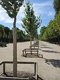 'Wanoux' in the Tuileries, 2022