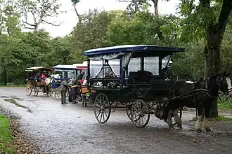 Covered wagonettes