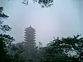 Jinyun Mountain
