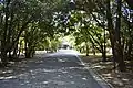 Approach