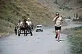 The Race