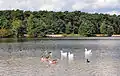Sunparks resort 'De Kempische Meren - Rauwse Meer'