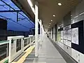 The platform at night, 2019