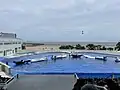 Orca performance at the Orca Stadium