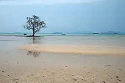 Shallow waters of the Gulf of Thailand, eastern lagoon