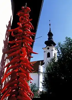 Reformed Christian Calvinist Church in Kopačevo