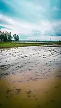 Badarkhali Kutubdia Para