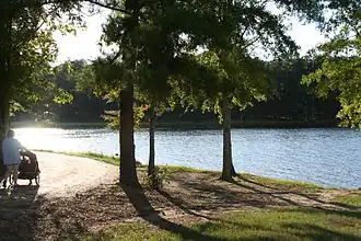 Lake view