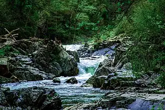 The Rezovo River