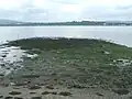 Langbank West Crannog
